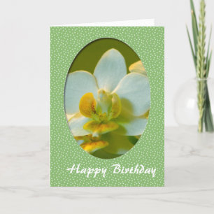 Alles Gute zum Geburtstag, weiße Orchideenblüten i Karte
