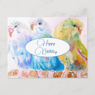 Alles Gute zum Geburtstag Wellensittich Wellensitt Postkarte