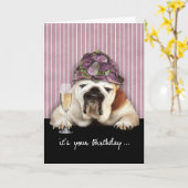 alles Gute zum Geburtstag, werden, Spaß, Hund Karte (Gelbe Blume)