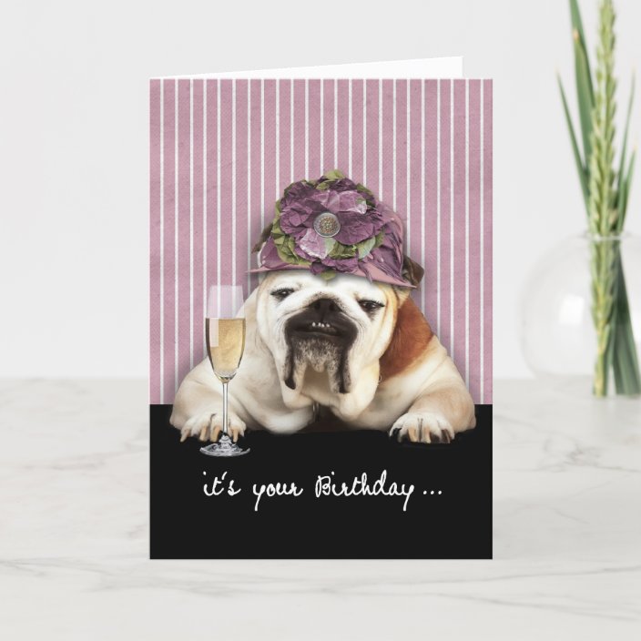 alles Gute zum Geburtstag, werden, Spaß, Hund Karte Zazzle.de