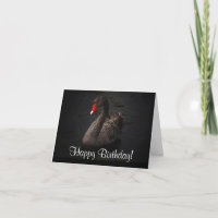 Alles Gute zum Geburtstag, wunderschöner Schwarzer