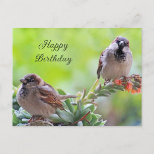 Alles Gute zum Geburtstag Zwei süße Spatzen Vögel Postkarte