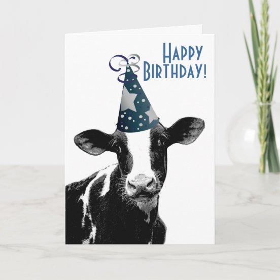 Alles Gute Zum Geburtstag Der Kuh Karten Zazzle.de