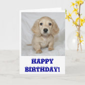 Alles- Gute zum GeburtstagDackel Karte (Gelbe Blume)