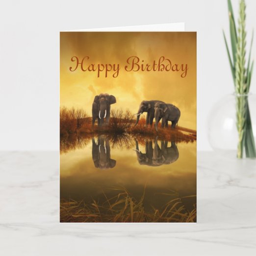 Gute Zum Geburtstag Elefanten Karten Zazzle.de