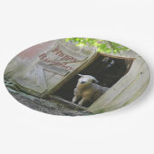 Alles- Gute zum Geburtstagentzückende Schafe Pappteller (Schrägansicht)