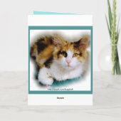 Alles- Gute zum Geburtstagkaliko-Katze Karte (Rückseite)