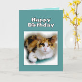 Alles- Gute zum Geburtstagkaliko-Katze Karte (Gelbe Blume)