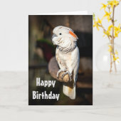 Alles Gute zum Geburtstagkarte Moluccancockatoo Karte (Gelbe Blume)