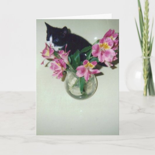 Alles Gute zum Geburtstagkatze mit Blumen im Vase Karte (Vorderseite)