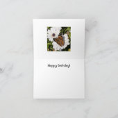 Alles- Gute zum GeburtstagMonarchfalter-Karte Karte (Innenseite)