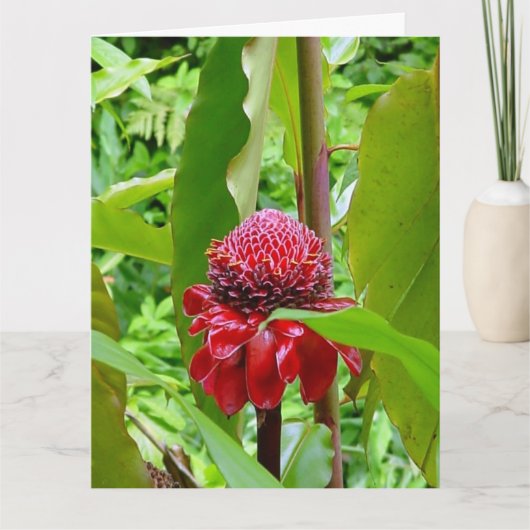 Alles Gute zum Geburtstagpostkarte von Hawaii Karte (Vorderseite)