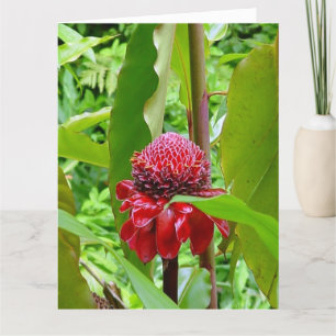 Alles Gute zum Geburtstagpostkarte von Hawaii Karte