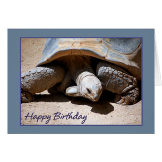Geburtstags Schildkröte Karten Zazzle.de