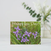 Alles Gute zum Iris Day! Postkarte (Stehend Vorderseite)