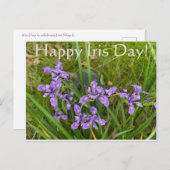 Alles Gute zum Iris Day! Postkarte (Vorne/Hinten)