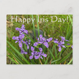 Alles Gute zum Iris Day! Postkarte