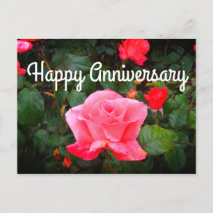 Alles Gute zum Jubiläum Touch of Class Rose #1 Pos Postkarte