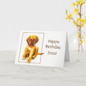 Alles- Gute zum Karte (Gelbe Blume)