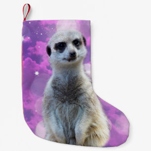 Alles Gute zum Meerkat, Kleiner Weihnachtsstrumpf
