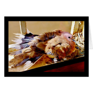 Alles Gute zum Muttertag!