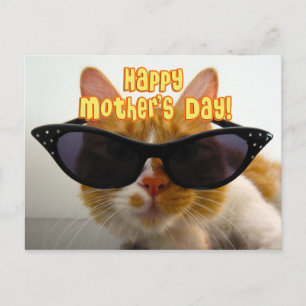 Alles Gute zum Muttertag Cool Cat in Sonnenbrille Postkarte