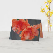 Alles Gute zum Muttertag! Hibiskus-Grußkarte Karte (Gelbe Blume)