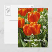 Alles Gute zum Muttertag Postkarte (Vorne/Hinten)