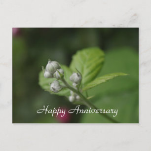 Alles Gute zum Muttertag, Sommer wilde Himbeerblüt Postkarte
