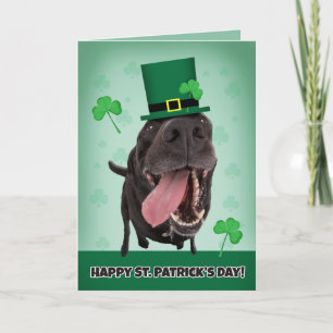 Alles Gute zum St. Patrick's Day für jeden Hunde H Feiertagskarte