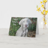 Alles Gute zum Vater ... Vom Weimaraner Hund Karte (Gelbe Blume)