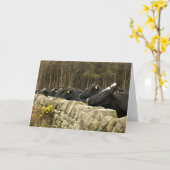 Alles in einer Row Grußkarte Karte (Gelbe Blume)