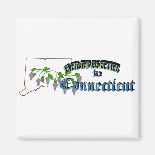Alles ist besser in Connecticut Magnet (Vorne)