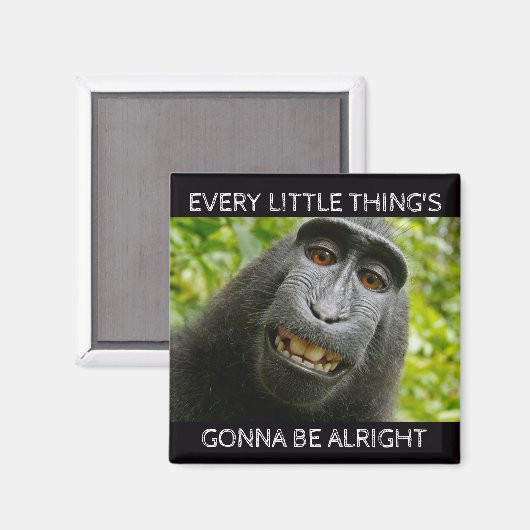 Alles ist ein guter Affe Magnet (Vorderseite/Rückseite)