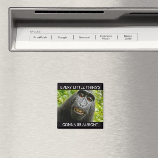 Alles ist ein guter Affe Magnet (In Situ (Geschirrspüler))