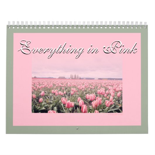Alles ist in Pink 2018 Kalender (Titelbild)