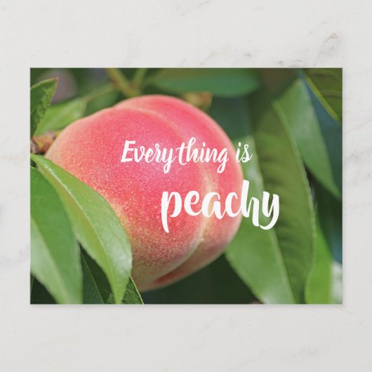 Alles ist Peachy // Peach Postkarte (Vorderseite)
