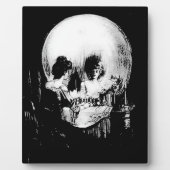 Alles ist Vanity Charles Allan Gilbert Fotoplatte (Vorderseite)