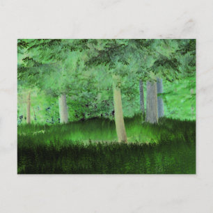 "Alles könnte passieren" Magisch verwandelte Wälde Postkarte