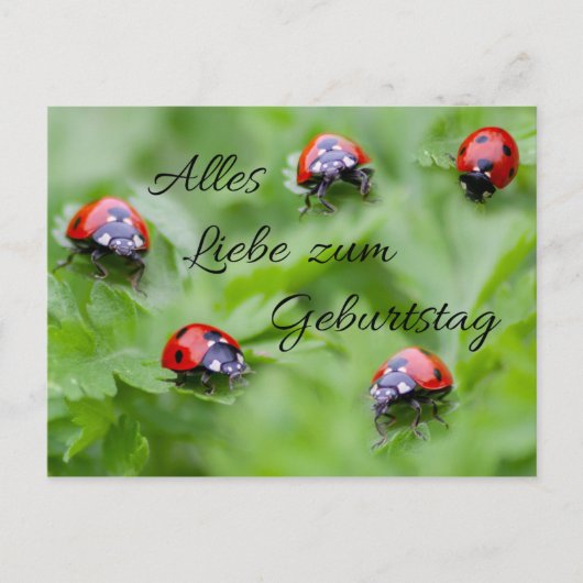 Alles Liebe zum Geburtstag! Postkarte (Vorderseite)