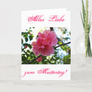 Alles Liebe zum Muttertag Karte