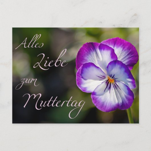 Alles Liebe zum Muttertag Postkarte (Vorderseite)