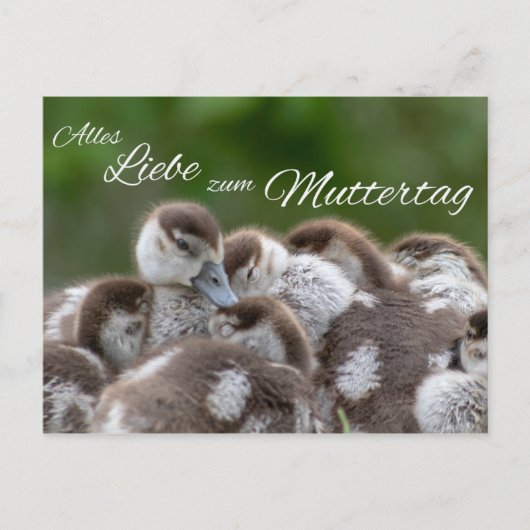 Alles Liebe zum Muttertag Postkarte (Vorderseite)