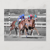 Alles Relevant Postkarte (Vorderseite)