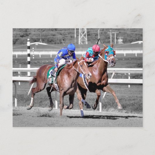 Alles Relevant Postkarte (Vorderseite)