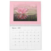 Alles Rosa Kalender (Feb 2027)