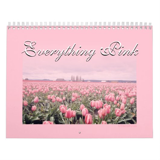 Alles Rosa Kalender (Titelbild)