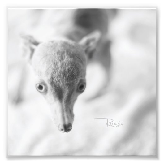 Alles Rosie Foto (Vorne)