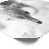 Alles Rosie Foto (Ecke)