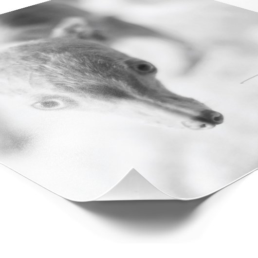 Alles Rosie Foto (Ecke)